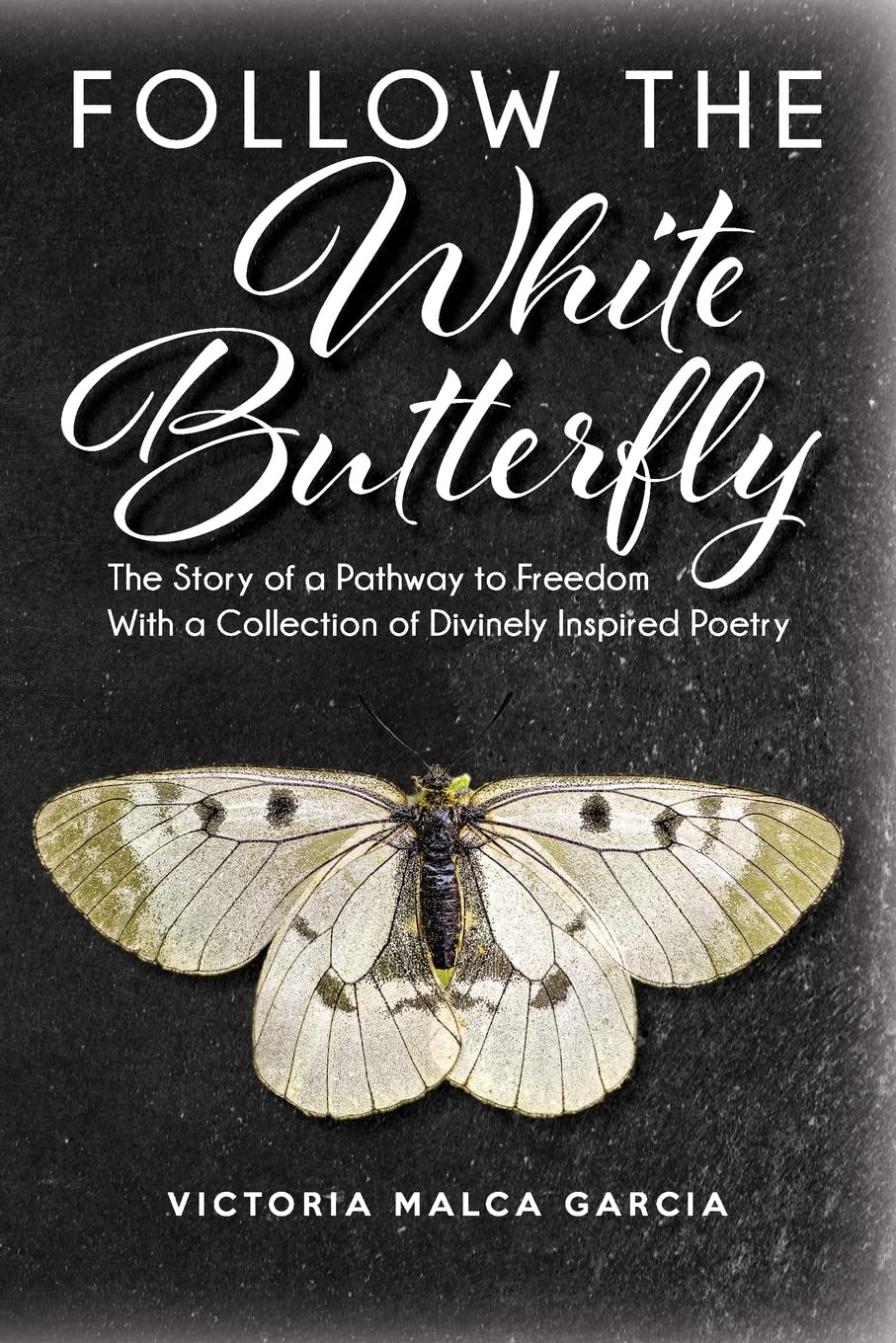 Victoria Garcia book cover