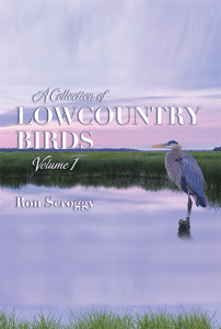 A Collection of Lowcountry Birds