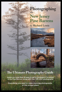Photographing the New Jersey Pine Barrens