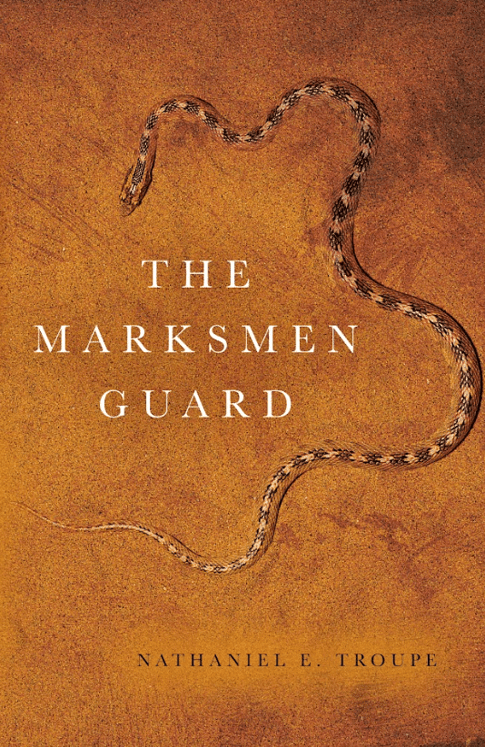 Published book cover